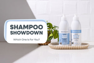 Shampoo Showdown: Find Your Match!
